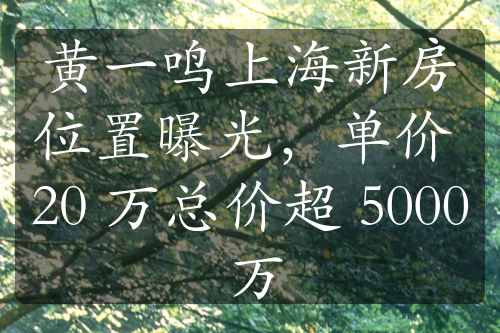 黄一鸣上海新房位置曝光，单价 20 万总价超 5000 万