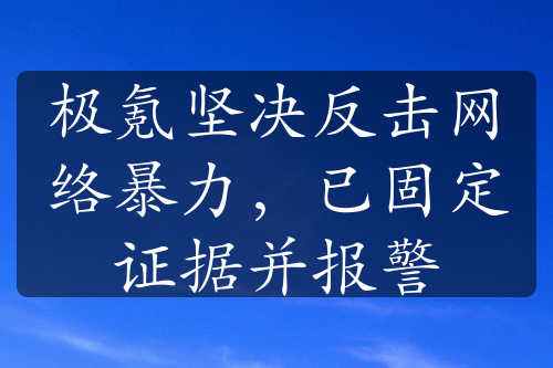 极氪坚决反击网络暴力，已固定证据并报警