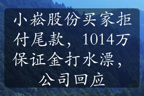 小崧股份买家拒付尾款，1014万保证金打水漂，公司回应