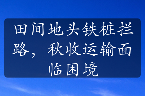 田间地头铁桩拦路，秋收运输面临困境