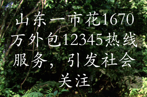 山东一市花1670万外包12345热线服务，引发社会关注