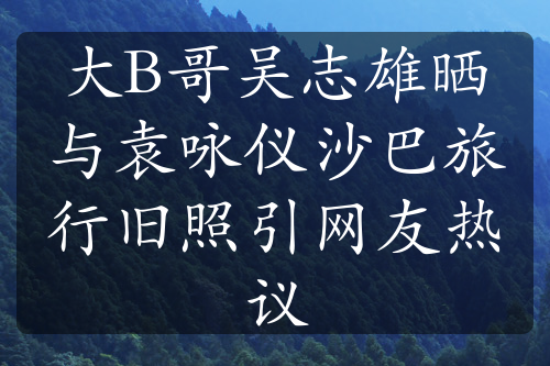 大B哥吴志雄晒与袁咏仪沙巴旅行旧照引网友热议