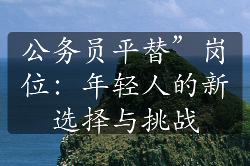 公务员平替”岗位：年轻人的新选择与挑战