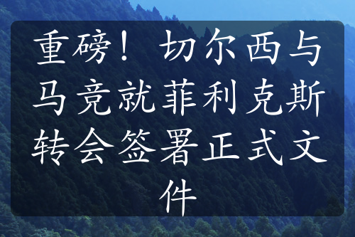 重磅！切尔西与马竞就菲利克斯转会签署正式文件