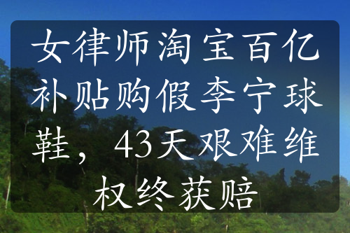 女律师淘宝百亿补贴购假李宁球鞋，43天艰难维权终获赔