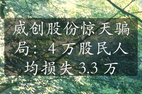 威创股份惊天骗局：4 万股民人均损失 3.3 万