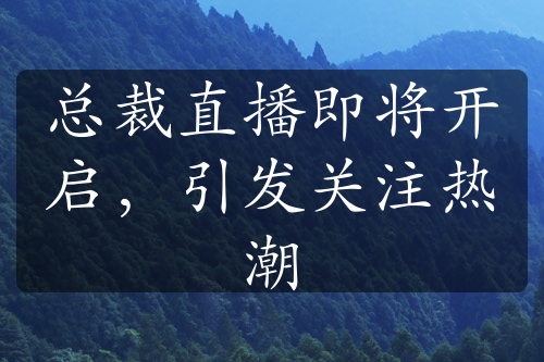 总裁直播即将开启，引发关注热潮