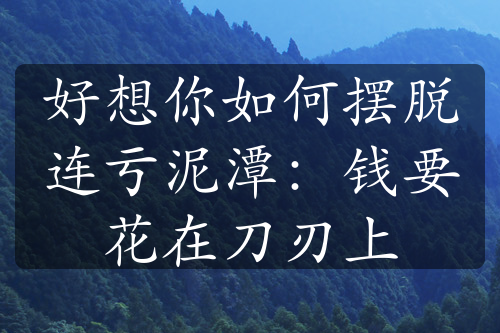 好想你如何摆脱连亏泥潭：钱要花在刀刃上