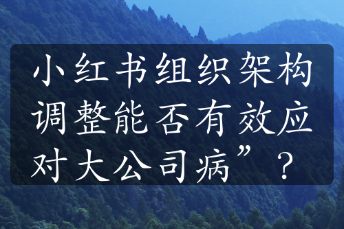 小红书组织架构调整能否有效应对大公司病”？