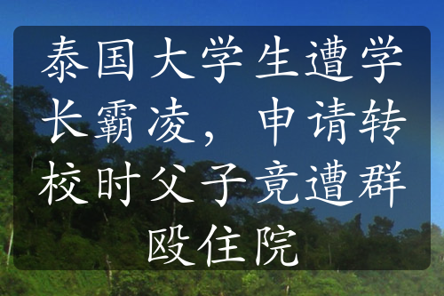 泰国大学生遭学长霸凌，申请转校时父子竟遭群殴住院