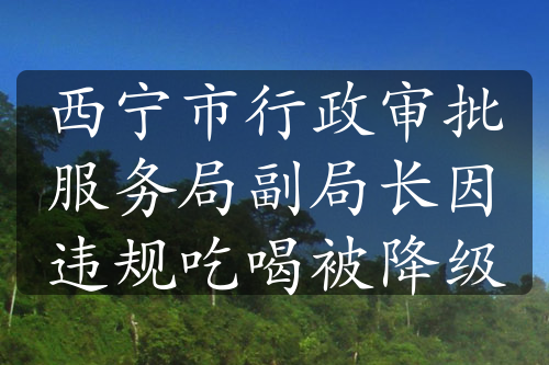 西宁市行政审批服务局副局长因违规吃喝被降级