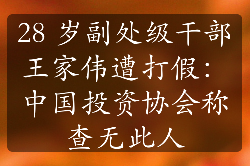 28 岁副处级干部王家伟遭打假：中国投资协会称查无此人