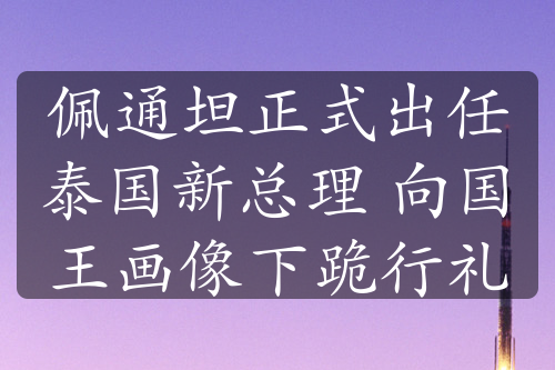 佩通坦正式出任泰国新总理 向国王画像下跪行礼