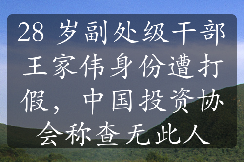 28 岁副处级干部王家伟身份遭打假，中国投资协会称查无此人