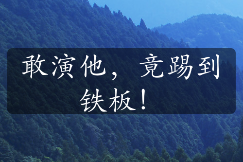 敢演他，竟踢到铁板！