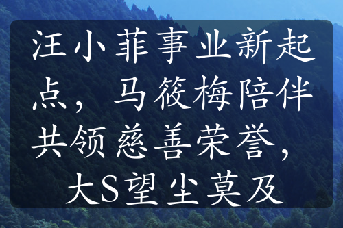 汪小菲事业新起点，马筱梅陪伴共领慈善荣誉，大S望尘莫及